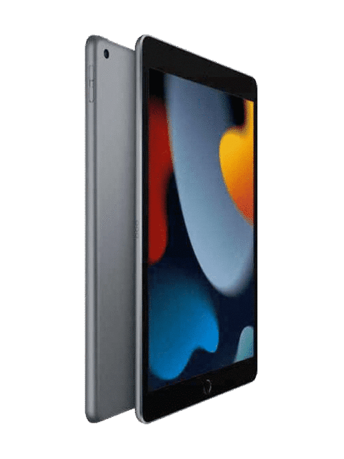 College T-Shirt Printed Crew Neck Short Sleeve